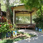 Aygun *
